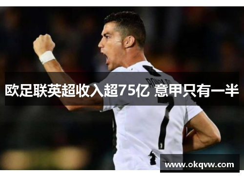 欧足联英超收入超75亿 意甲只有一半